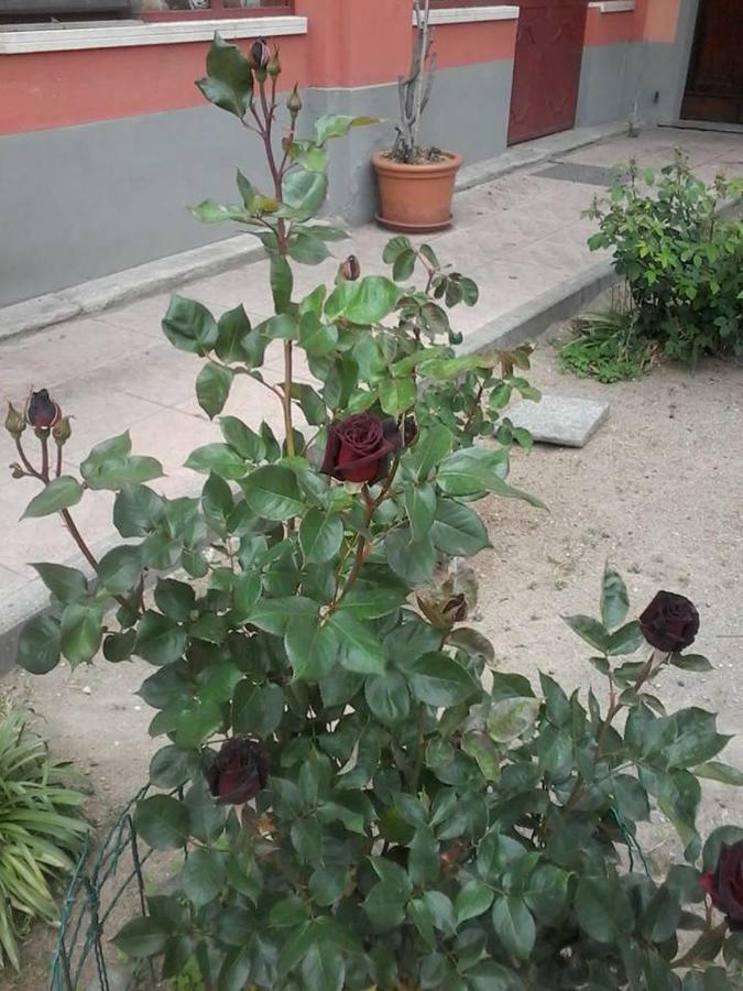 Perbacco Acomodação com café da manhã Sartirana Lomellina Exterior foto